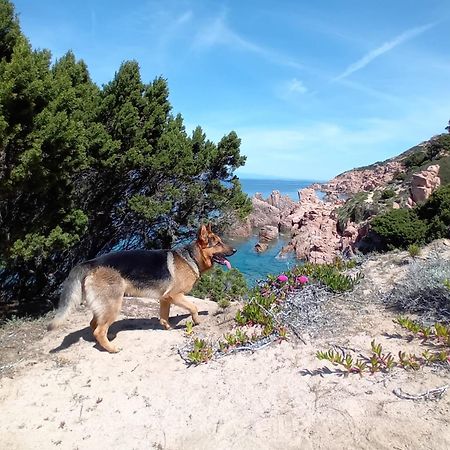 Villetta Monica Costa Paradiso Kültér fotó