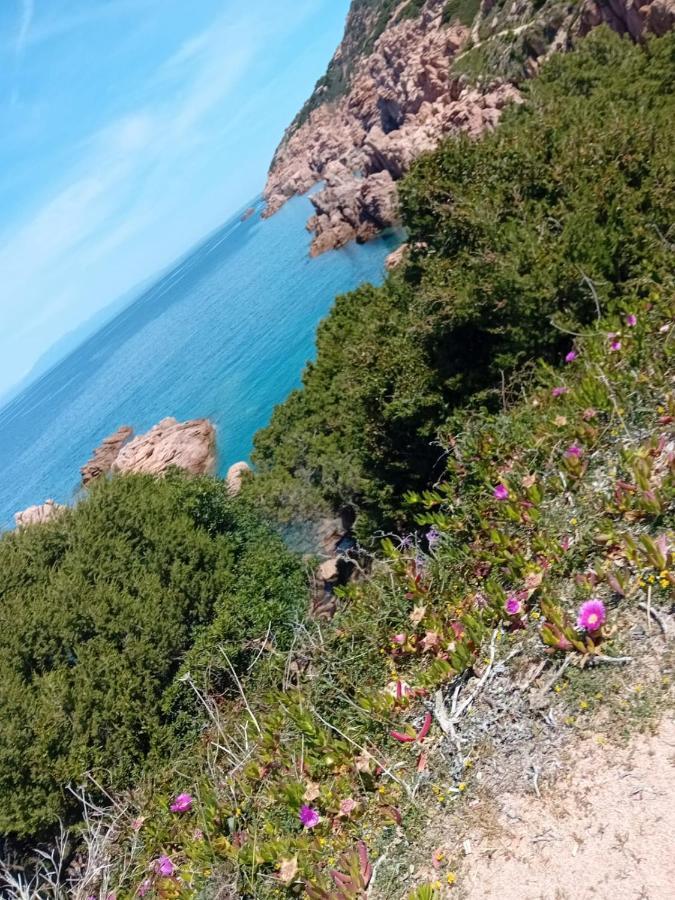 Villetta Monica Costa Paradiso Kültér fotó